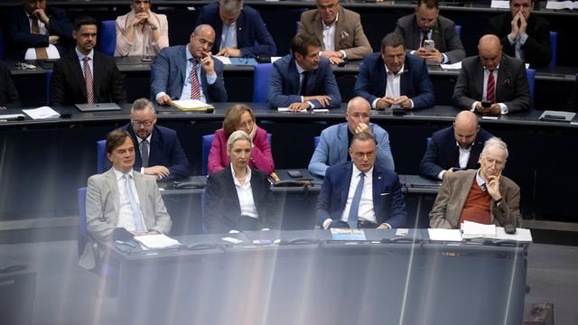 Die Fraktion der AfD im Bundestag: Bernd Baumann , Alice Weidel, Tino Chrupalla und Alexander Gauland.