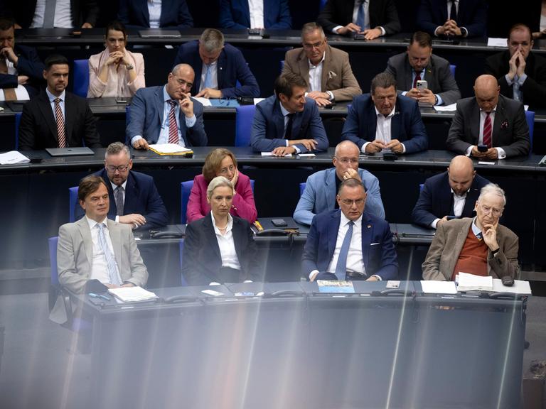 Die Fraktion der AfD im Bundestag: Bernd Baumann , Alice Weidel, Tino Chrupalla und Alexander Gauland.