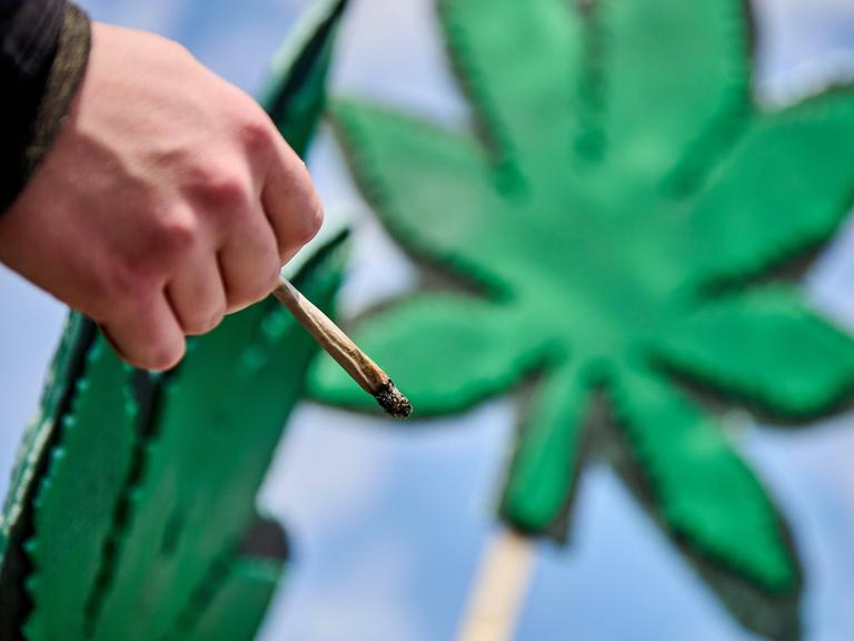Ein Mann hält einen Joint in der Hand, im Hintergrund ist eine Cannabis-Pflanze zu erkennen