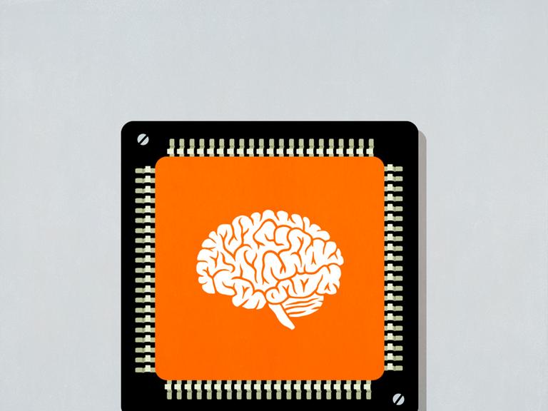 Wissen Themenbilder für Themenportale und Ressort Wissen Themenbilder für Themenportale und Ressort