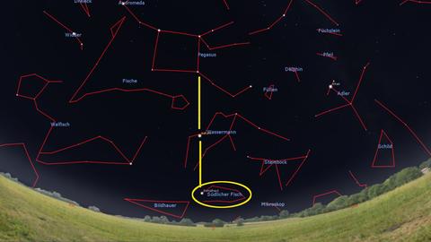 Eine schematische Darstellung des Nachthimmels und der Sterne aus der Astro-App Stellarium.