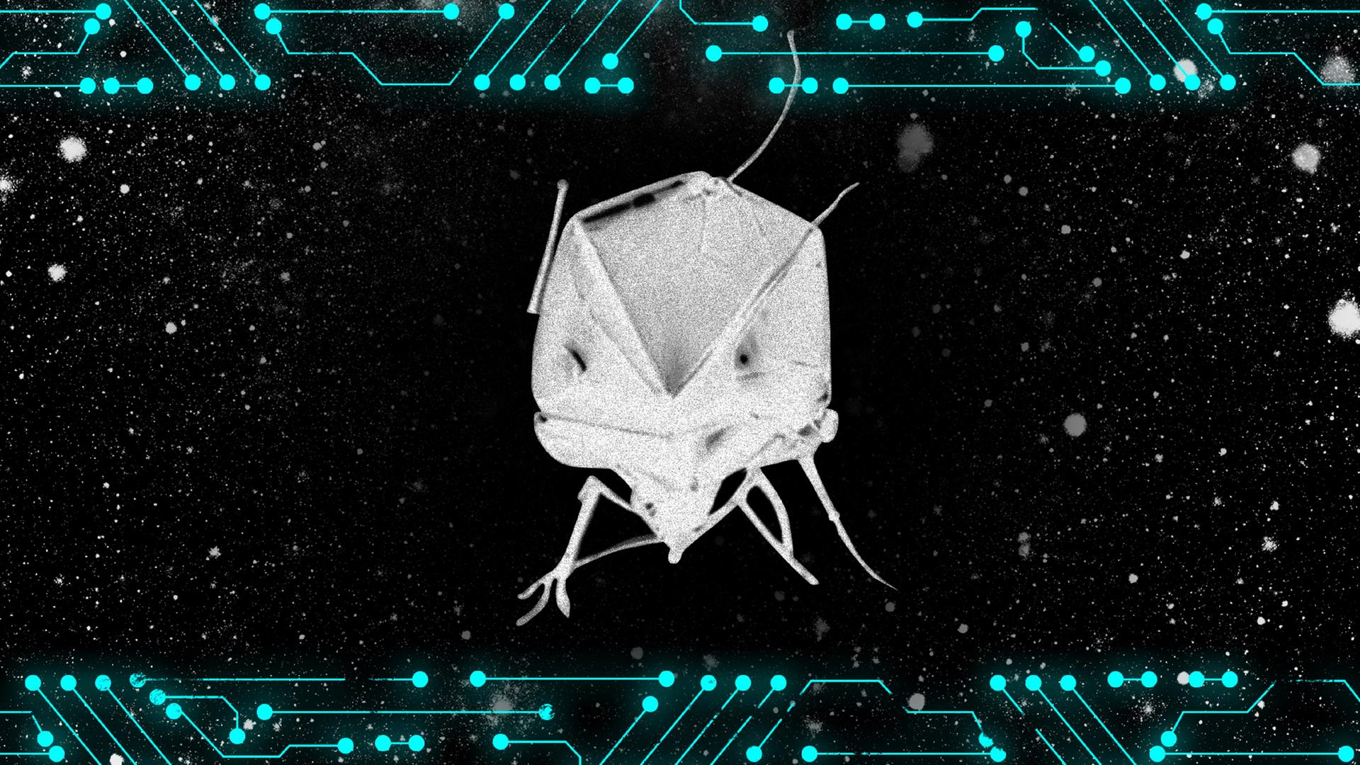 Der Annamox-Käfer ernährt sich von Edelmetallen und seltenen Erden.