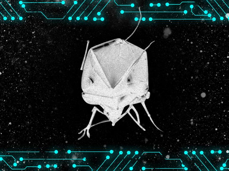 Der Annamox-Käfer ernährt sich von Edelmetallen und seltenen Erden.