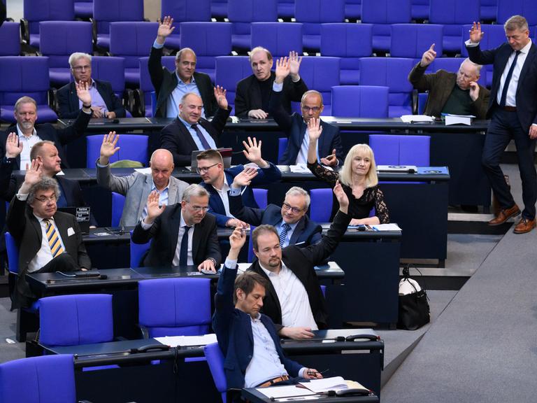 Die Bundestagsfraktion der AfD stimmt bei der Plenarsitzung im Deutschen Bundestag als einzige Fraktion für einen Einspruch gegen eine Ordnungsmaßnahme.