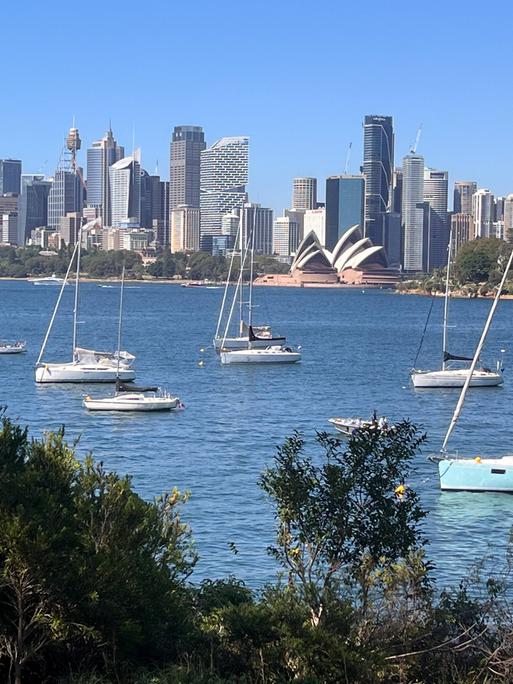 Panoramaansicht von Segelbooten und Yachten, die vor der Skyline der Innenstadt von Sydney vor Anker liegen