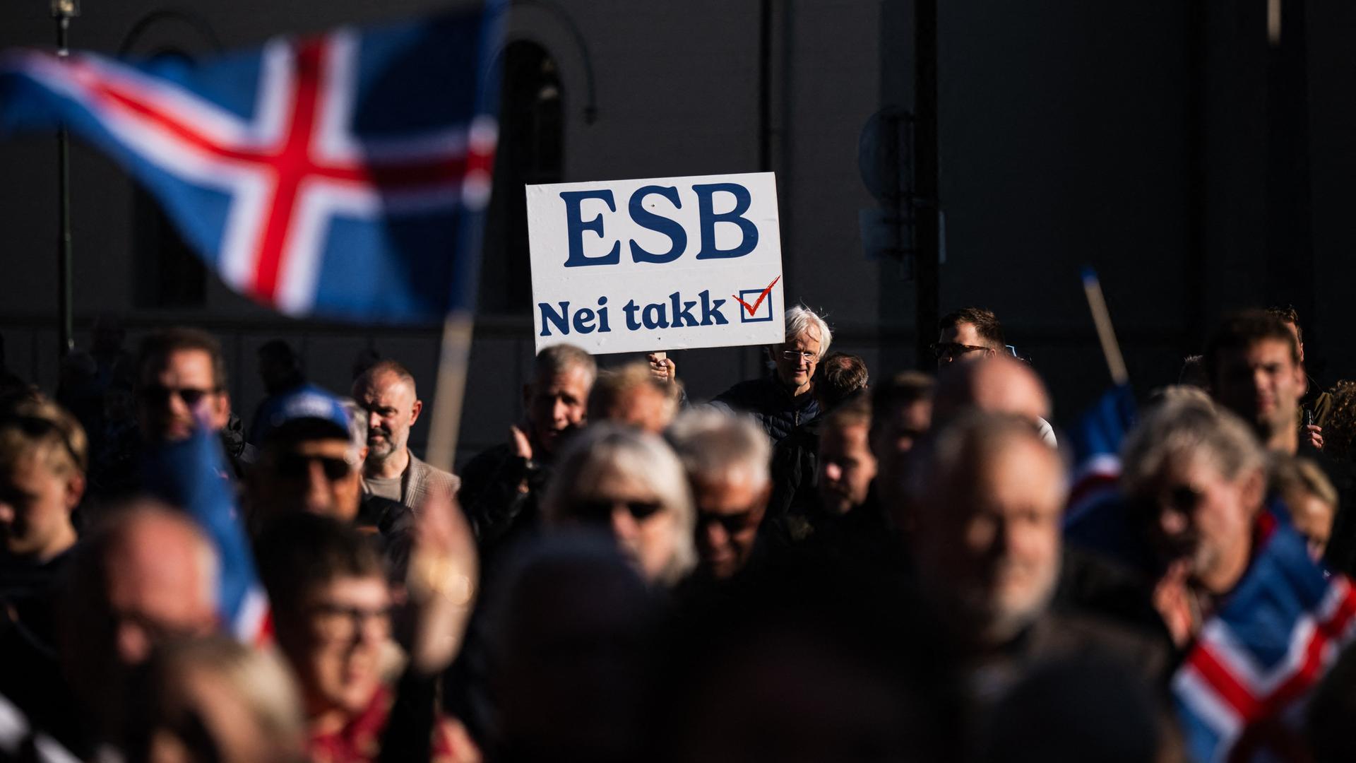 Demonstranten tragen isländische Flaggen und ein Plakat mit der isländischen Aufschrift: "EU - Nein, danke". Demonstranten tragen isländische Flaggen und ein Plakat mit der isländischen Aufschrift: "EU - Nein, danke".