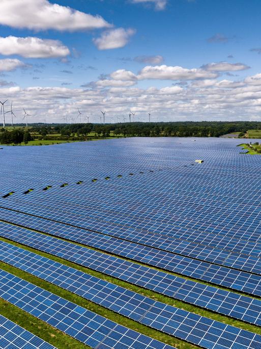 Solarmodule stehen in Reihen in einem Solarkraftwerk in Schleswig-Holstein.