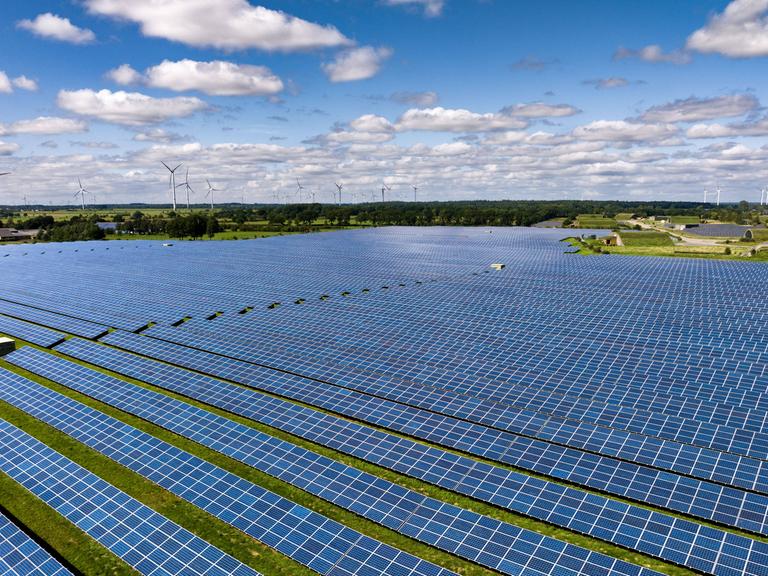 Solarmodule stehen in Reihen in einem Solarkraftwerk in Schleswig-Holstein.
