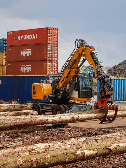 Ein Bagger greift zwei Holzstämme. Im Hintergrund sieht man mehrere Container.