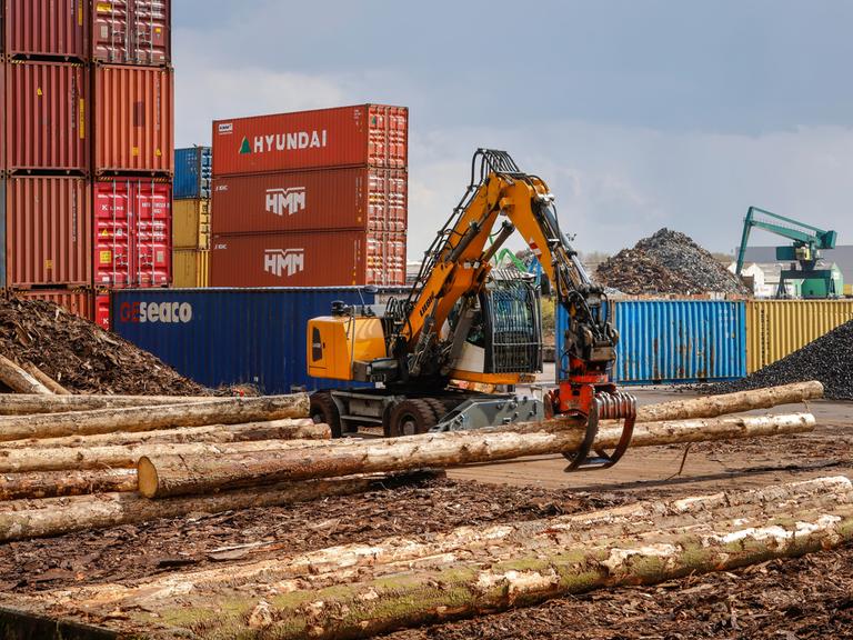 Ein Bagger greift zwei Holzstämme. Im Hintergrund sieht man mehrere Container.