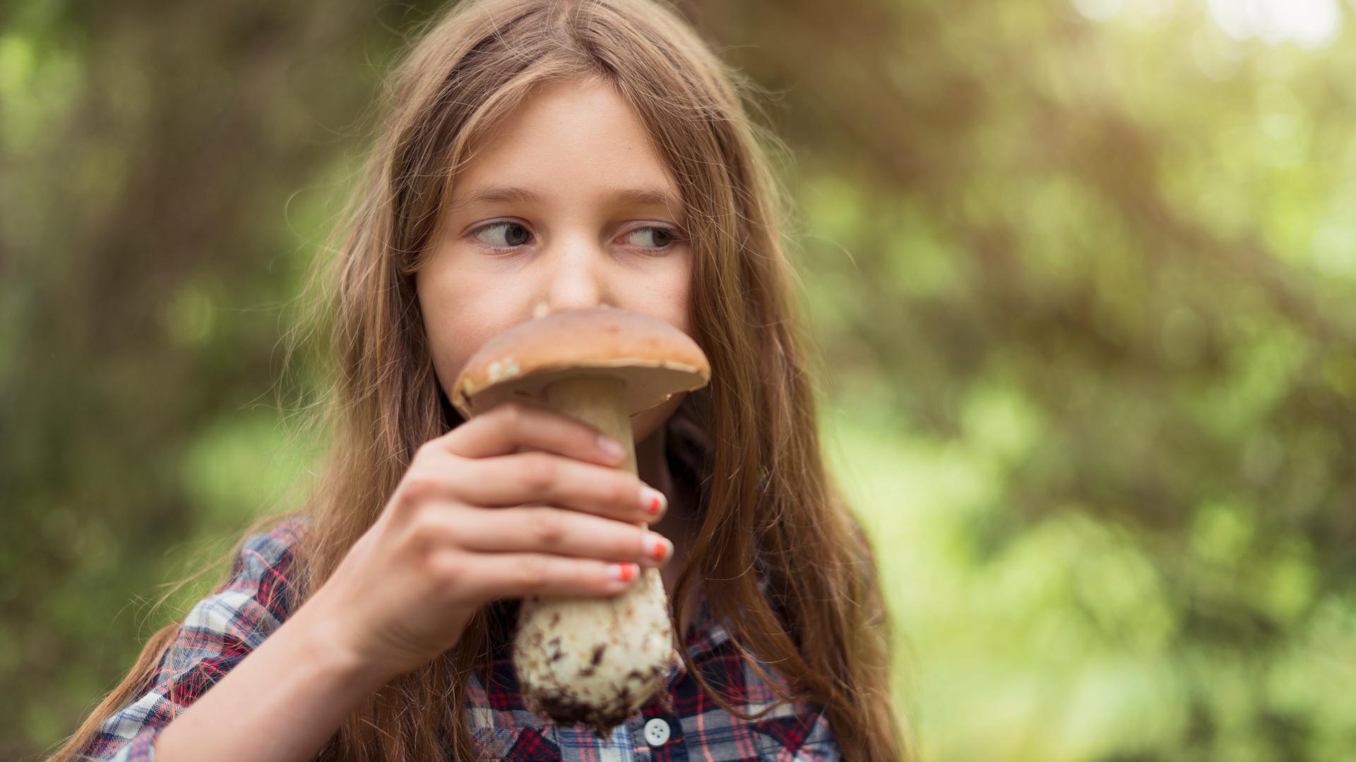 Ein Kind im Wald riecht an einem großen Pilz.