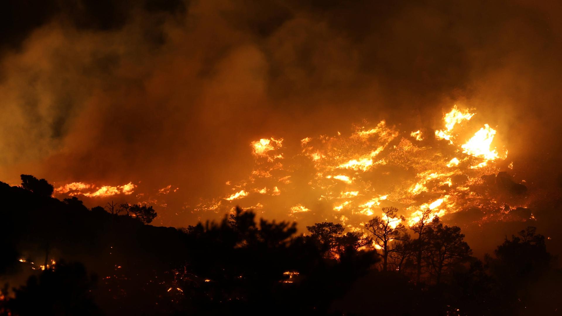 Blick aus der Ferne auf ein Flammeninferno in einem Wald in der Nacht.