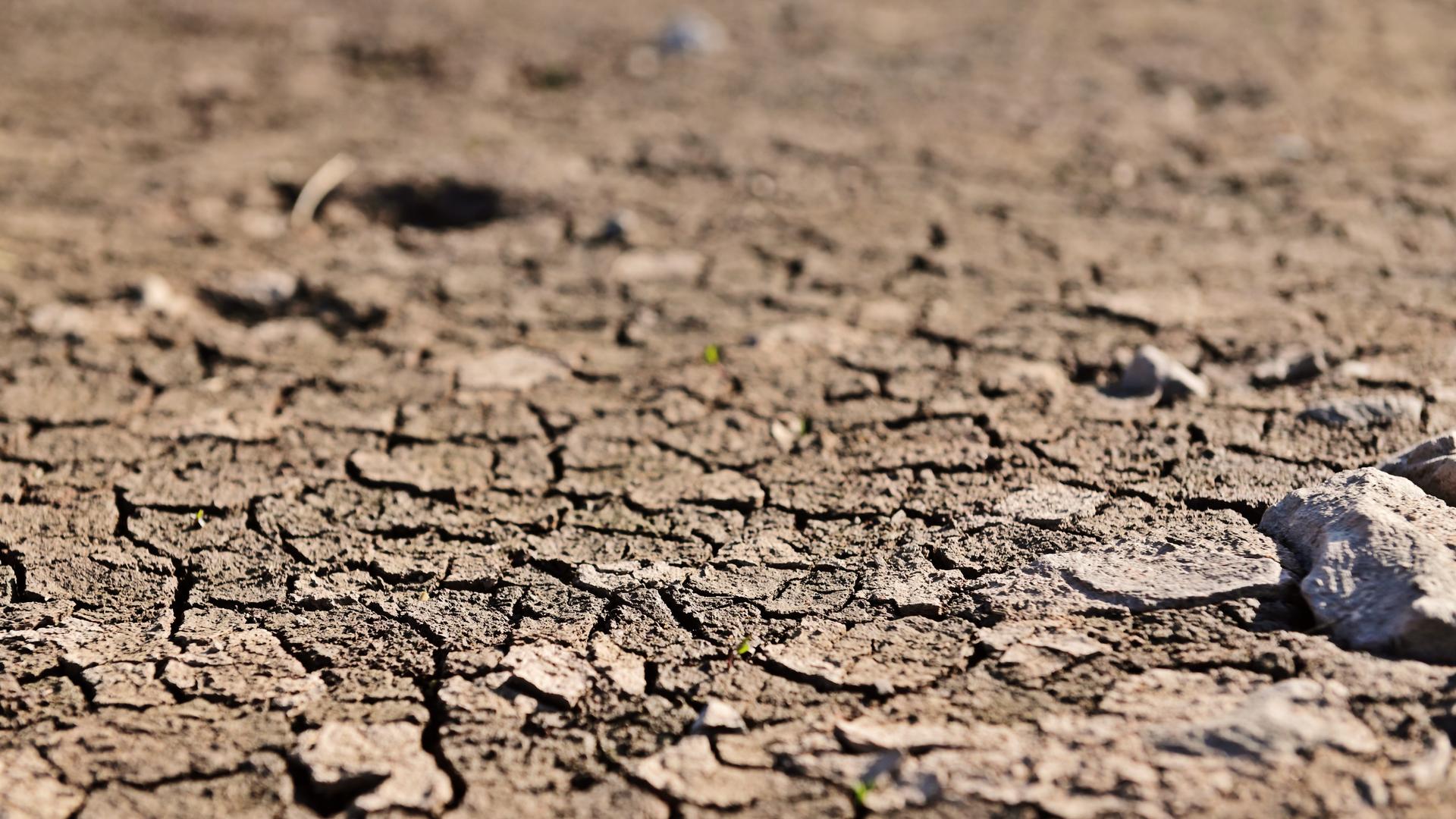 Am Horn von Afrika herrscht derzeit eine der schlimmsten Dürren seit vier Jahrzehnten
