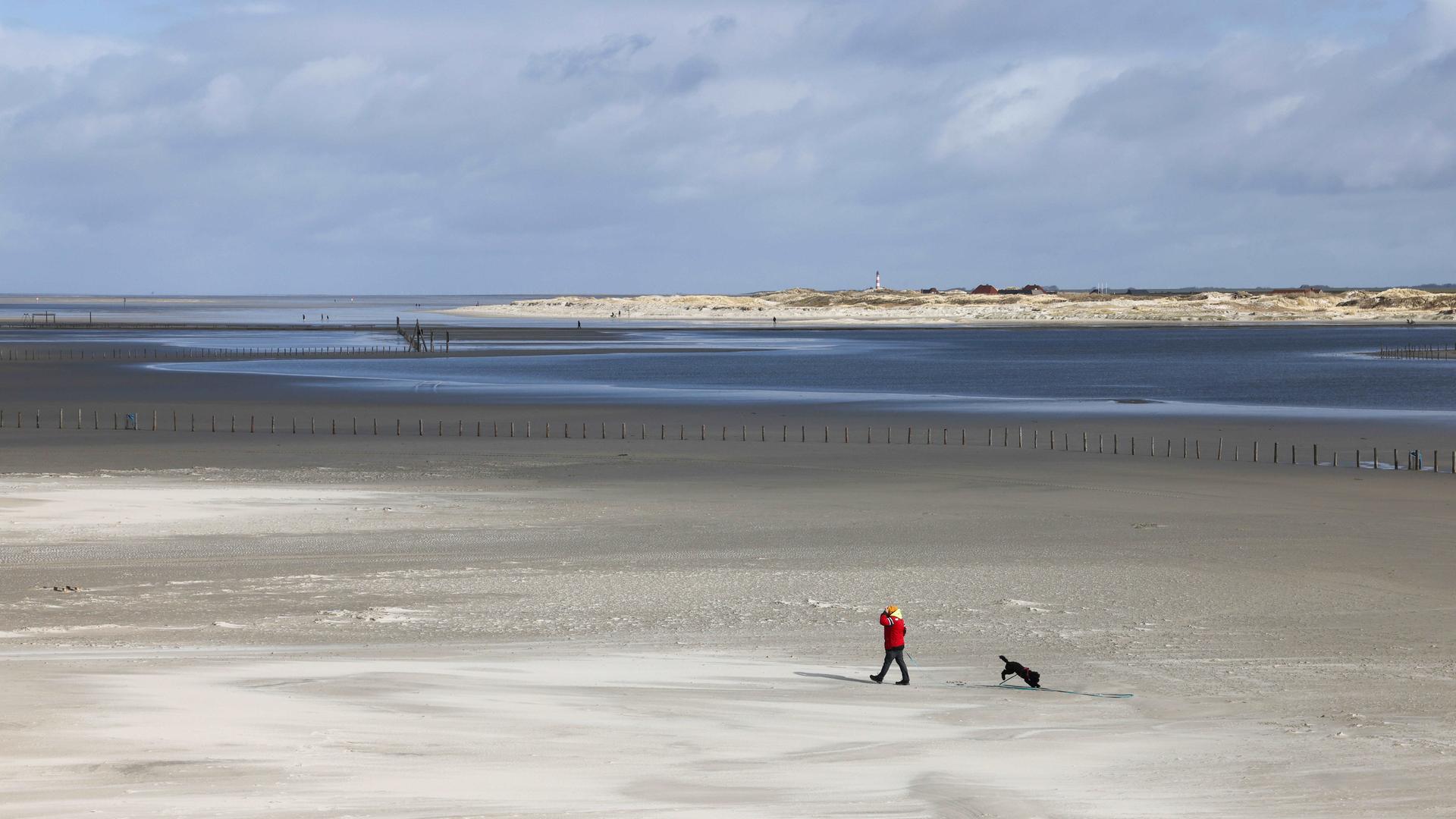 Ein Spaziergänger mit Hund ist bei Sonnenschein am Nordseestrand in Ording unterwegs.