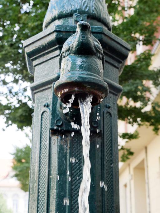 27.09.2021, Berlin - Deutschland. Pumpe am Straßenrand gibt Wasser für trockene Bäume.