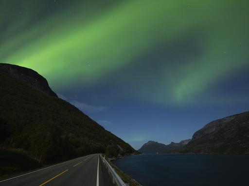 Der Nachthimmel im Norden Norwegens hat sich grün verfärbt. Darunter erstrecken sich Berge und eine Straße, die direkt an einen Fjord grenzt.