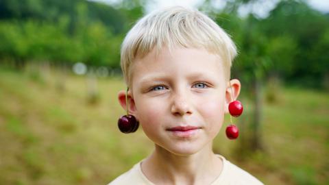 Ein Junge trägt reife Kirschenpaare an seinen beiden Ohren. Ein Junge trägt reife Kirschenpaare an seinen beiden Ohren.