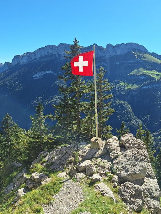 Die Schweizer Flagge vor Alpenpanorama.