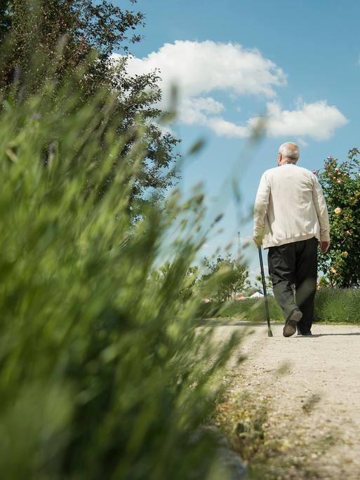 Eine ältere Person, die von hinten zu sehen aber nicht zu erkennen ist, läuft mit einem Gehstock einen Weg entlang. 
