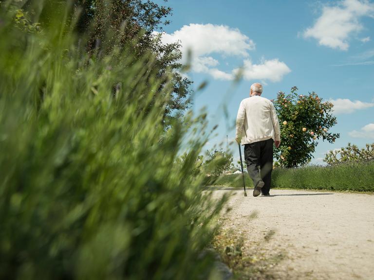 Eine ältere Person, die von hinten zu sehen aber nicht zu erkennen ist, läuft mit einem Gehstock einen Weg entlang. 