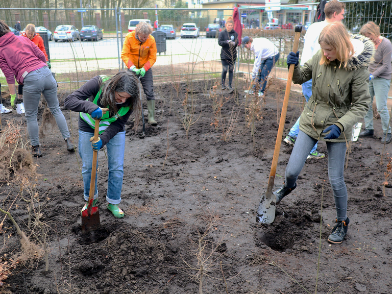 Pflanzaktion der Organisation Citizens Forests am 18. März in Hamburg Altona