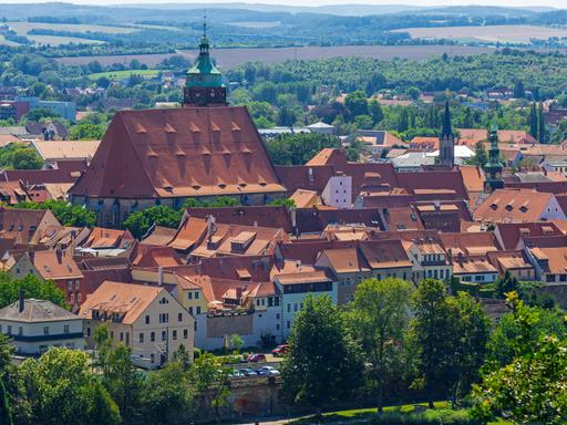Die Stadt Pirna aus der Ferne fotografiert, mit vielen roten Dächern im Grünen. 