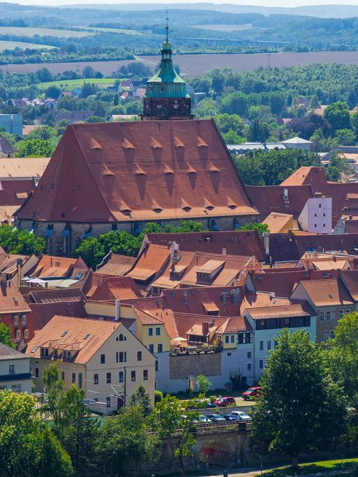 Die Stadt Pirna aus der Ferne fotografiert, mit vielen roten Dächern im Grünen. 