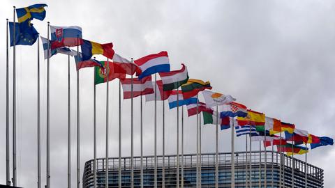 Die Nationalfahnen der Mitglieder des EU-Parlaments in Strassburg. 