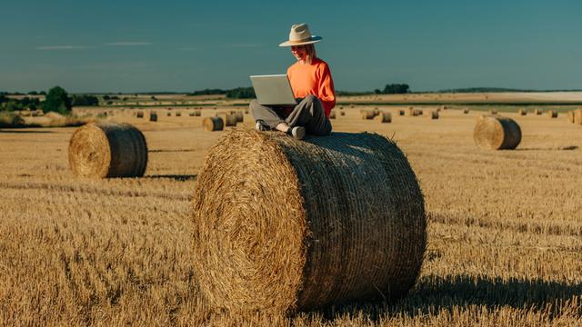 Eine Frau sitzt mit überkreuzten Beinen auf einem Heuballen auf einem Feld und benutzt einen Laptop.