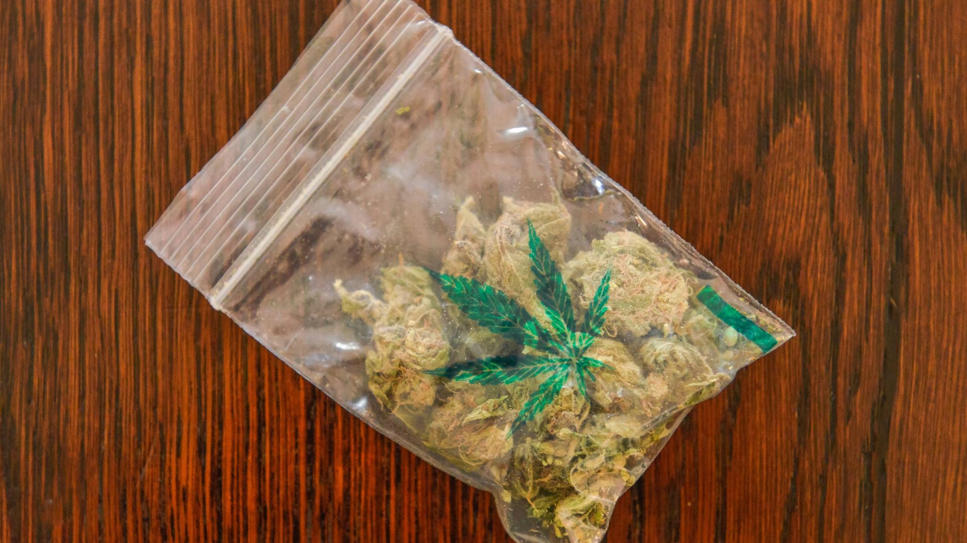 Cannabis-Blüten in einer Tüte mit einem aufgedruckten Hanf-Blatt