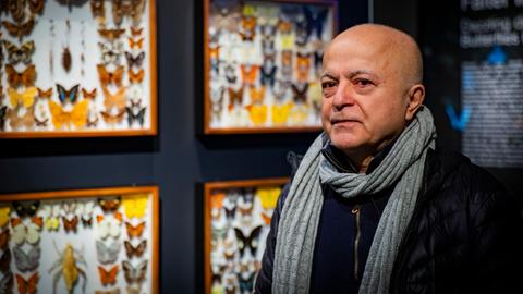 Yadegar Asisi vor Vitrinen mit Schmetterlingen