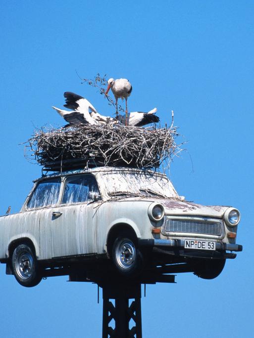 Ein Storch mit zwei Jungvögeln in ihrem Nest auf dem Dach eines Trabants, der auf einem Metallmast aufgebockt ist