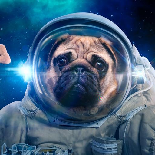 Ein Hund neben schwebendem Leckerlie in einem Raumanzug im Weltall