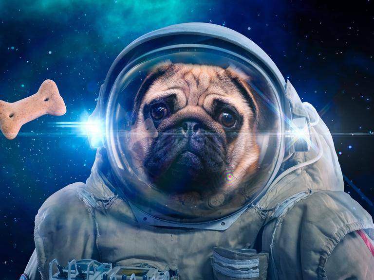 Ein Hund neben schwebendem Leckerlie in einem Raumanzug im Weltall