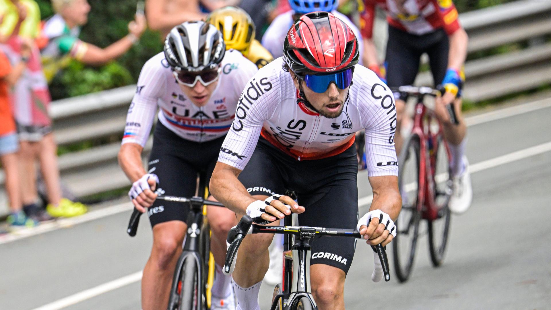 Mehrere Radfahrer während eines Rennens bei der Tour de France