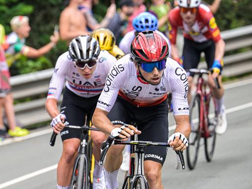 Mehrere Radfahrer während eines Rennens bei der Tour de France