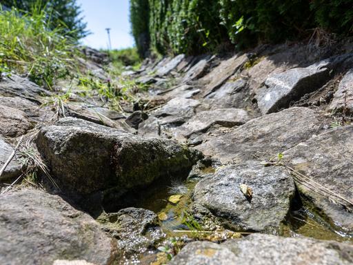 Die Regenrinne einer Straße ist mit losem Steinen gesichert, so dass Regenwasser dort versickern kann. Die Stadt Neu-Ulm versucht bei Bauprojekten dafür zu sorgen, dass das Regenwasser von versiegelten Flächen möglichst nah im Grundboden versickert, wo es wie von einem Schwamm aufgesaugt wird.