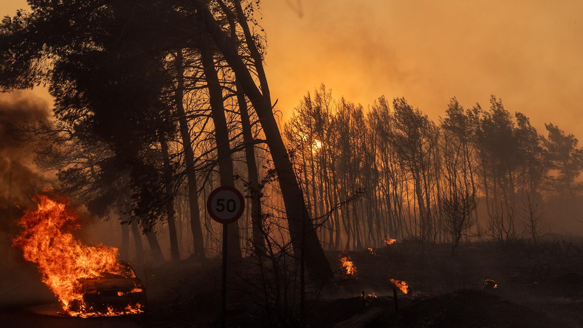 Athen: Ein Auto (l), das Feuer gefangen hat, brennt in der Region eines großen Waldbrandes, der in Varnavas, etwa 35 km von Athen, wütet. 