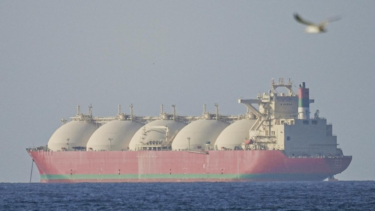 Das Bild zeigt einen Blick aufs Meer. Ein großer, roter Frachter fährt darüber. Im Vordergrund fliegt ein Vogel.