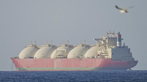 Das Bild zeigt einen Blick aufs Meer. Ein großer, roter Frachter fährt darüber. Im Vordergrund fliegt ein Vogel.