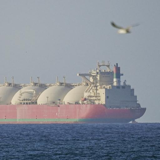 Das Bild zeigt einen Blick aufs Meer. Ein großer, roter Frachter fährt darüber. Im Vordergrund fliegt ein Vogel.