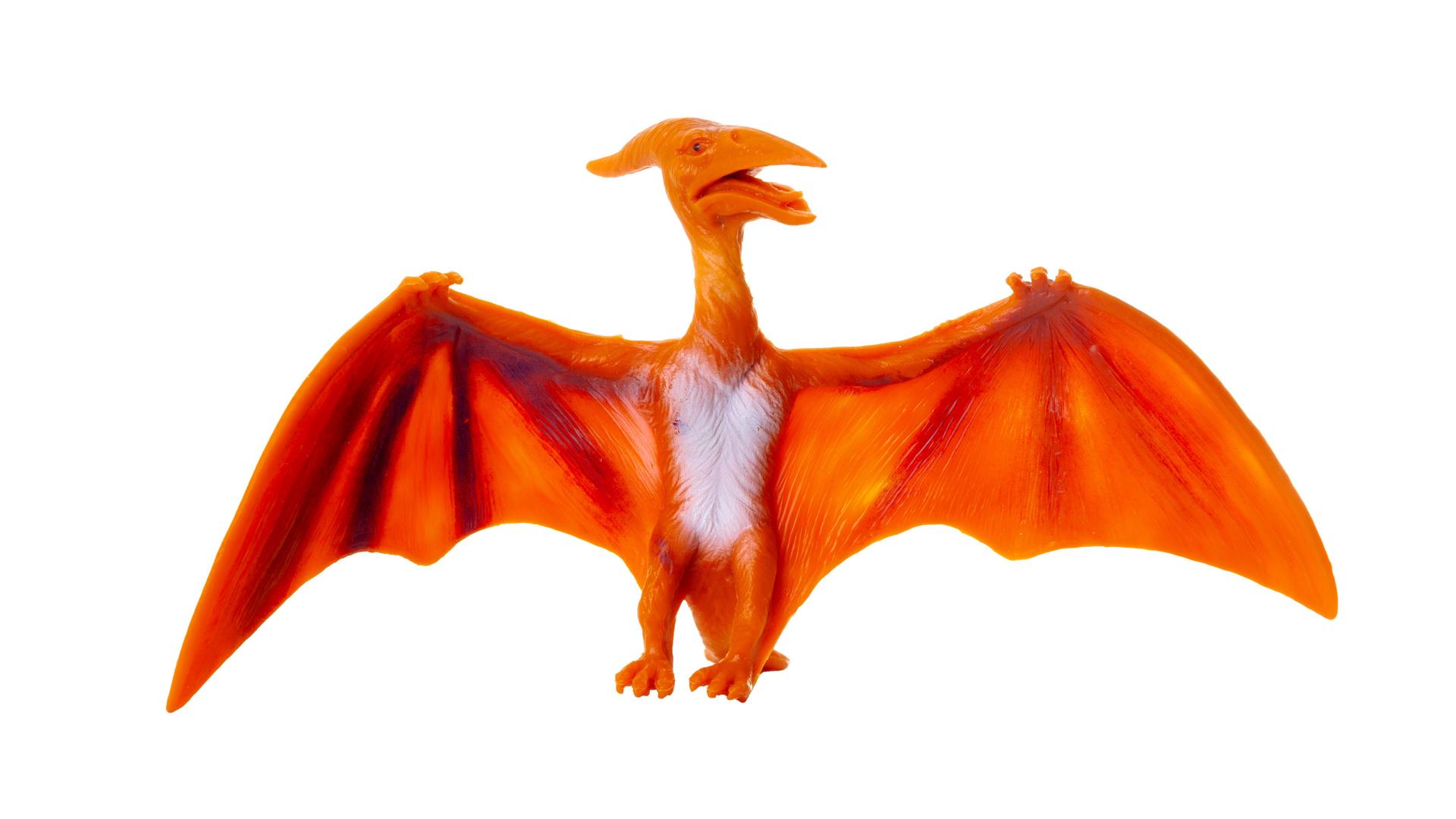 Plastikmodell eines Pterosauriers, eines Flugsauriers, präsentiert vor einem sauberen weißen Hintergrund. 