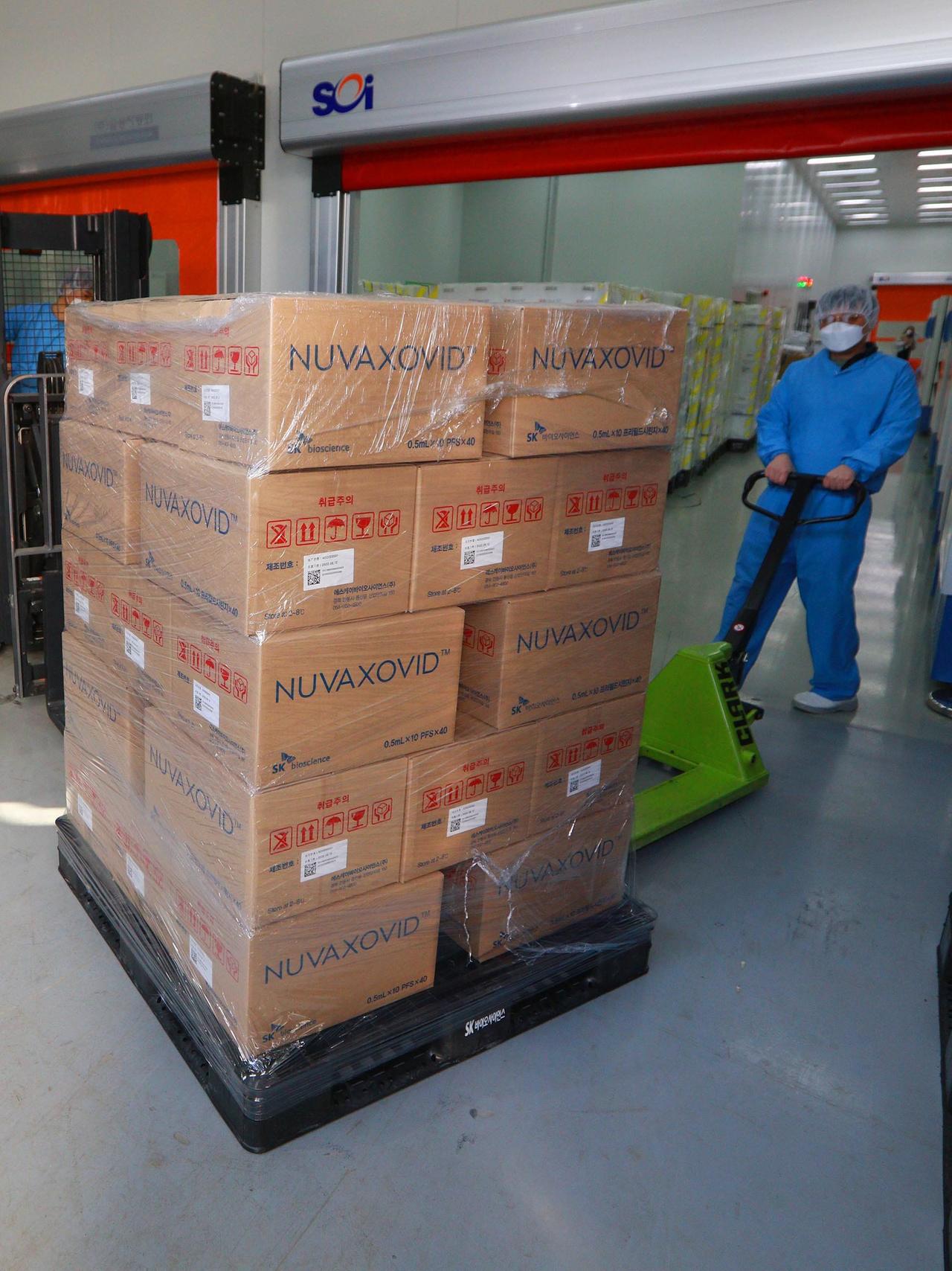 Ein Mitarbeiter eines Logistik-Unternehmens hebt mehrer Kartons mit Novavax-Impfstoff auf einer Palette zum Abtransport hoch.
