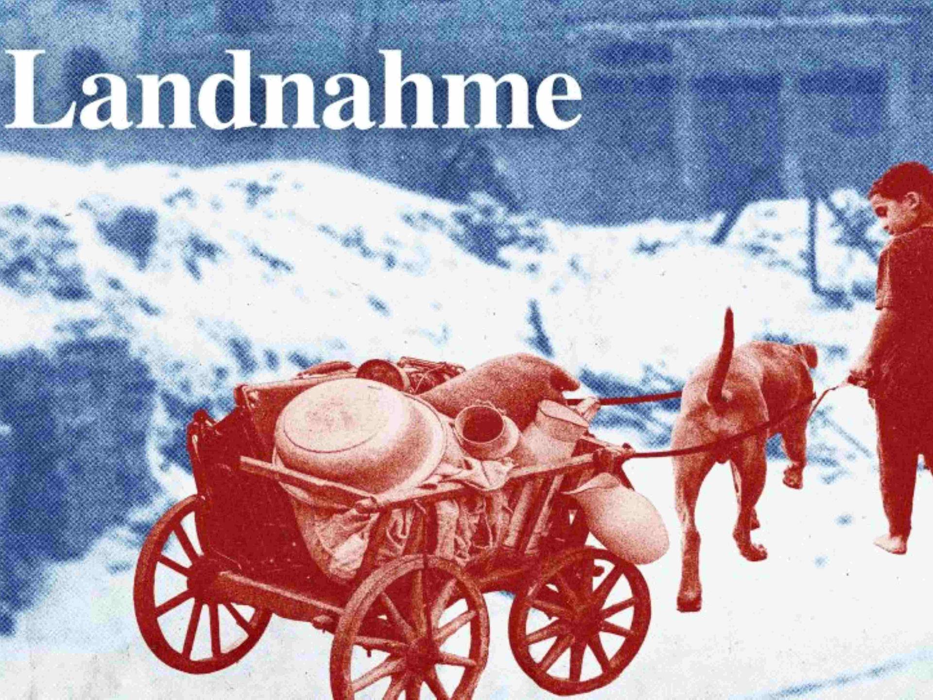 Ein Junge und ein Hund ziehen einen Bollerwagen mit ihrem Hab und Gut durch den Schnee.