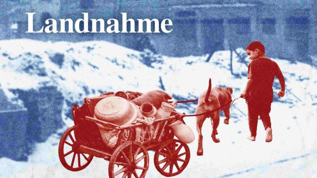 Ein Junge und ein Hund ziehen einen Bollerwagen mit ihrem Hab und Gut durch den Schnee.