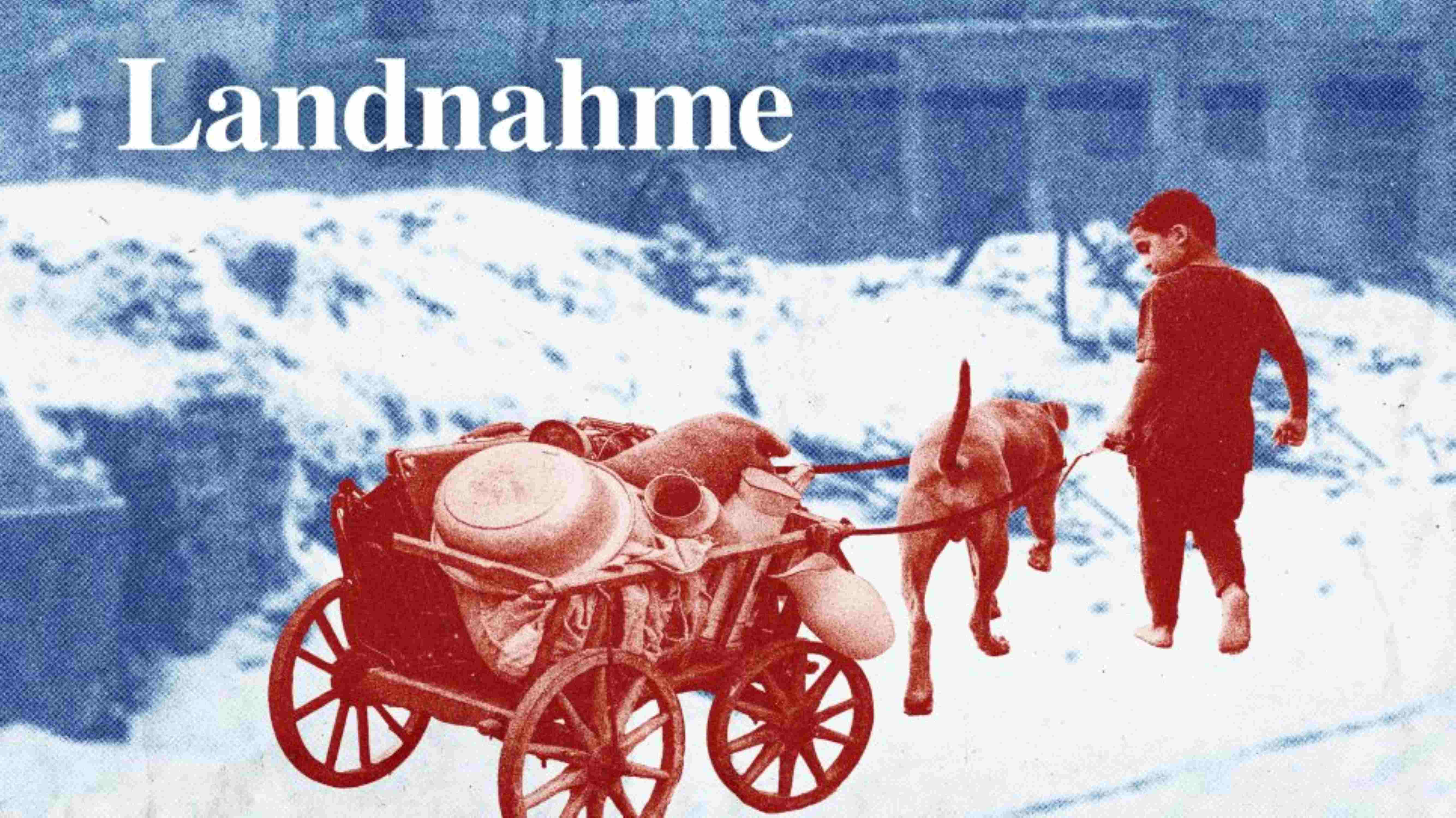 Ein Junge und ein Hund ziehen einen Bollerwagen mit ihrem Hab und Gut durch den Schnee.