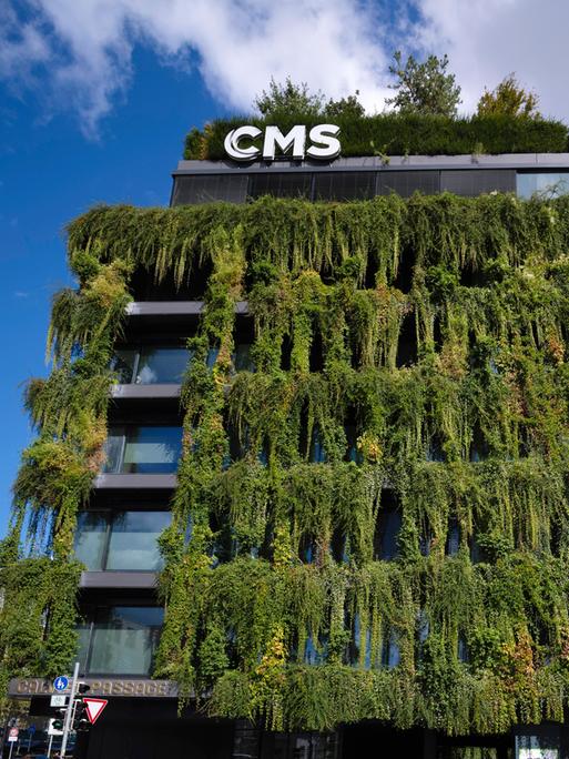 Klimaneutrale Fassadenbegrünung am Neubau, Bürogebäude der Firma CMS in Stuttgart.
