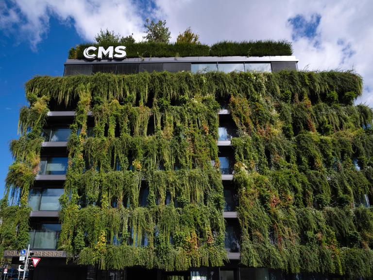Klimaneutrale Fassadenbegrünung am Neubau, Bürogebäude der Firma CMS in Stuttgart.