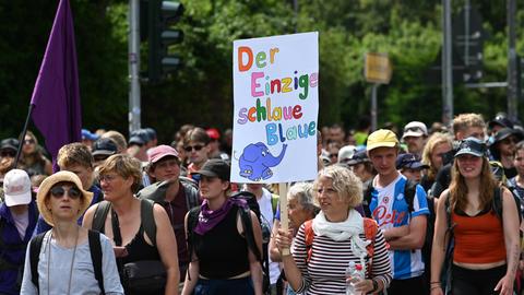 Eine Demonstrantin trägt ein Schild mit der Aufschrift "Der Einzige schlaue Blaue" - zu sehen ist der Elefant aus der Sendung mit der Maus.