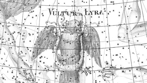 Historische Sternkarte: Eine Leier in den Fängen eines großen Vogels, umgeben von Sternbildern.